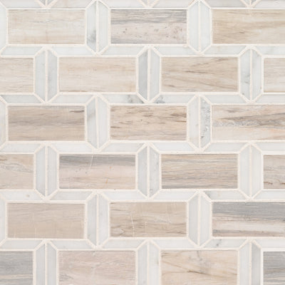 Agoura Marble Polished 2x4 Subway Mosaic Tile